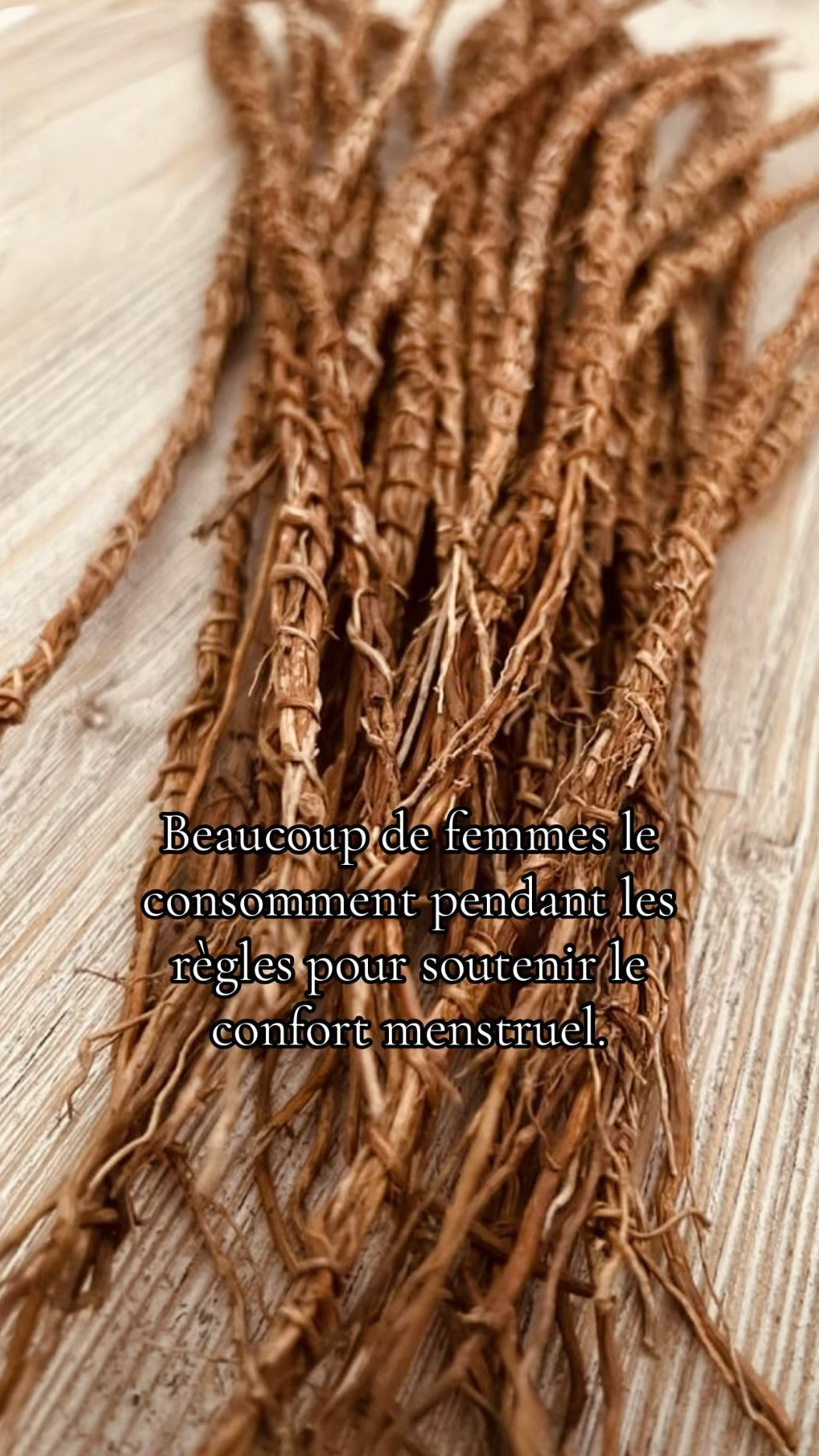 Racine de khamaré/Gongoli/vétiver